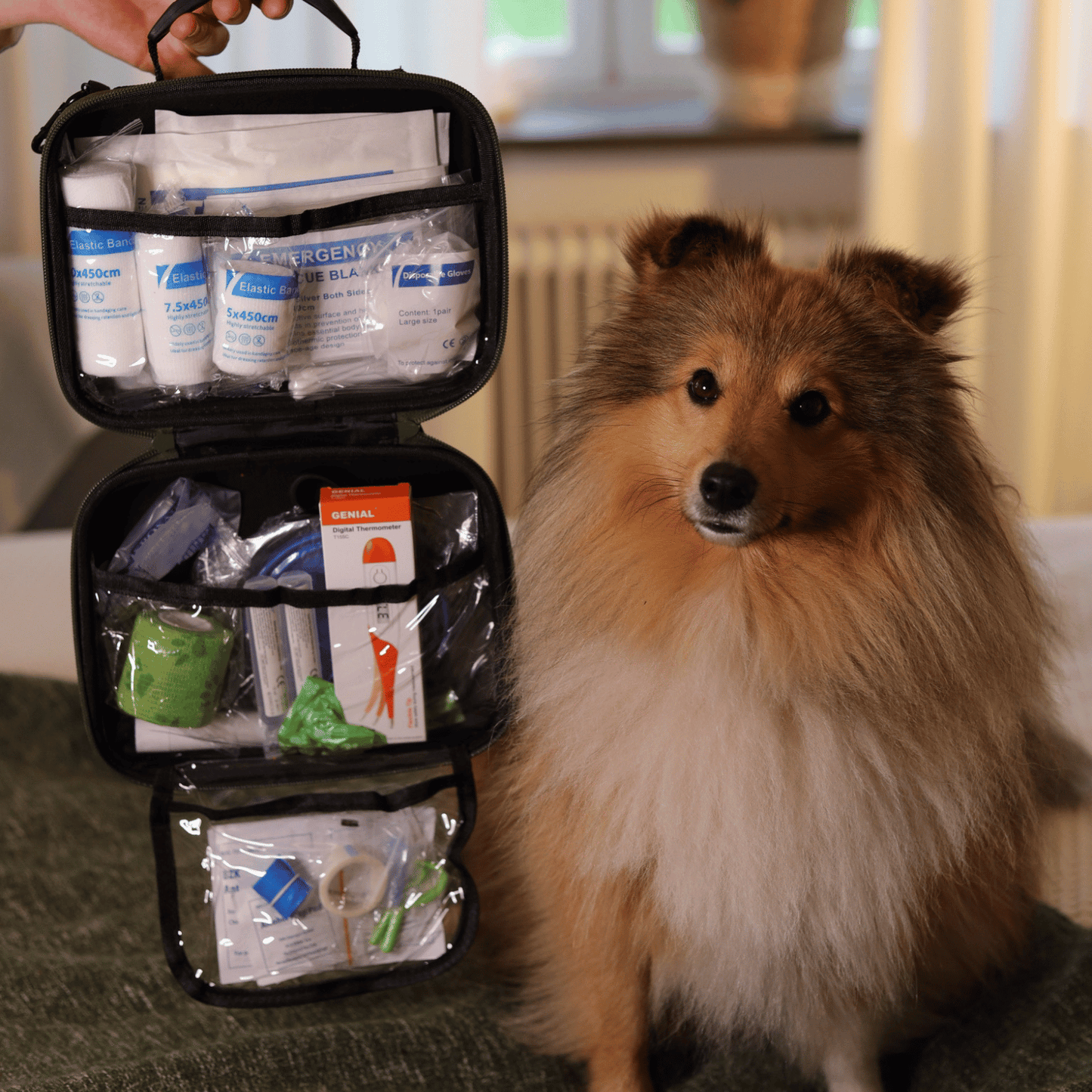 Erste-Hilfe-Set für Hunde